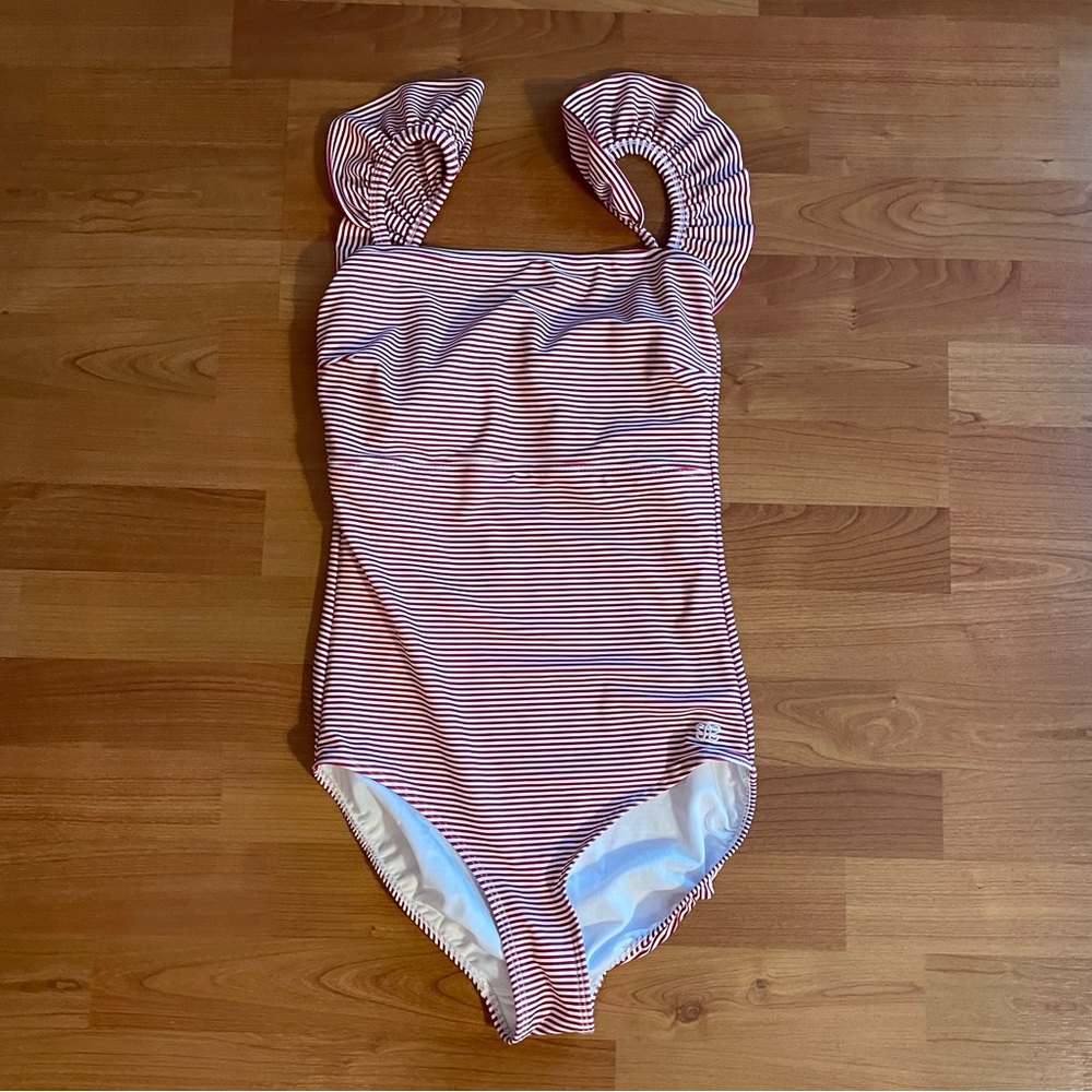 Albion The Cherry One Piece Swimsuit